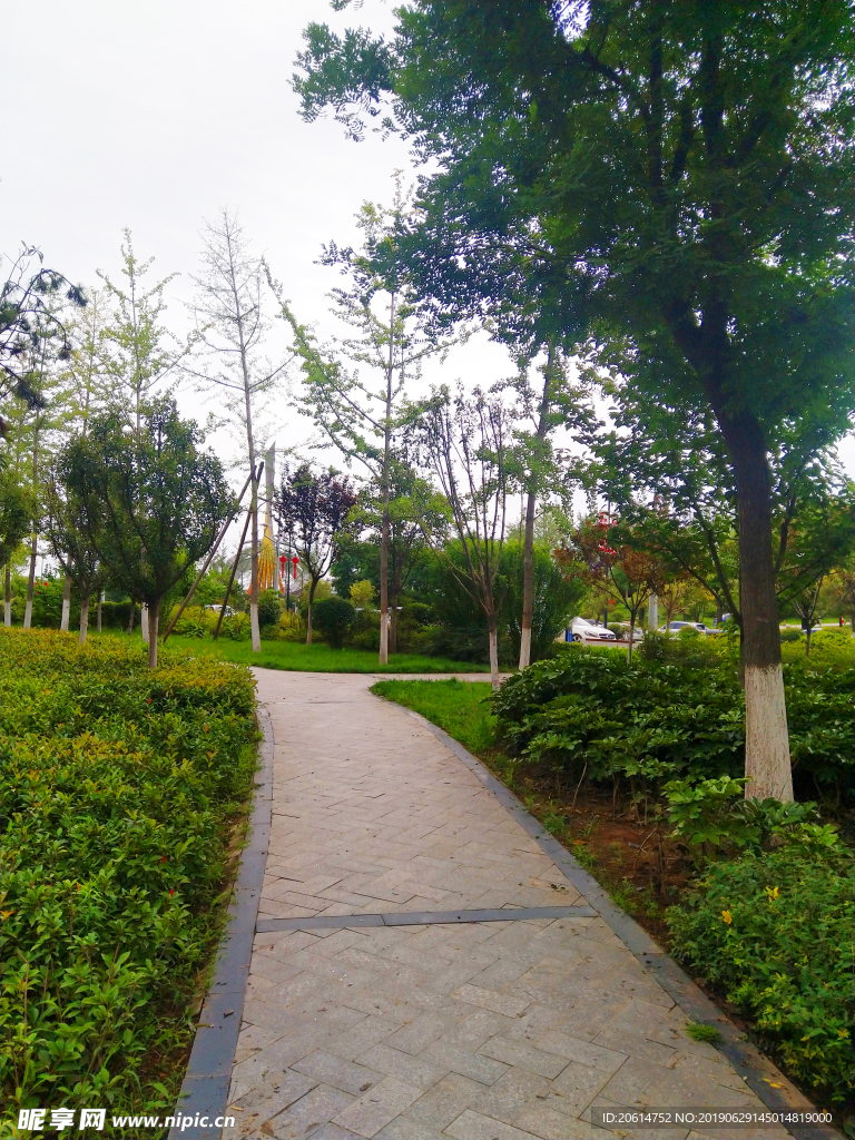 城市公园美景