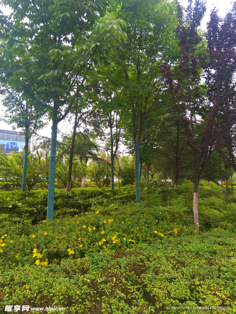 城市公园美景