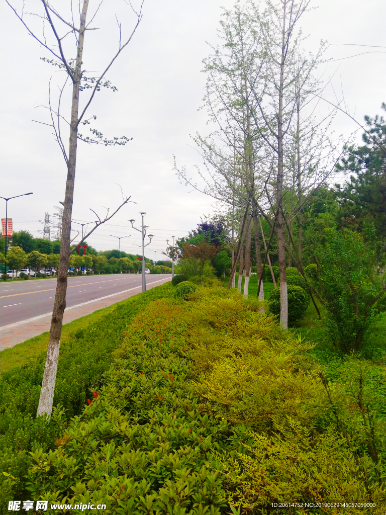 城市公园