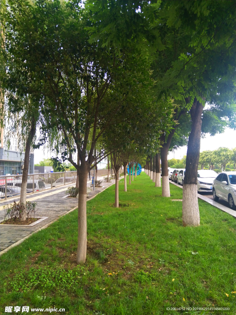 城市公园