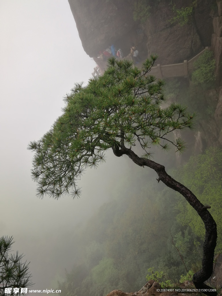 黄山美景