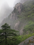 黄山美景