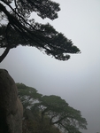 黄山美景