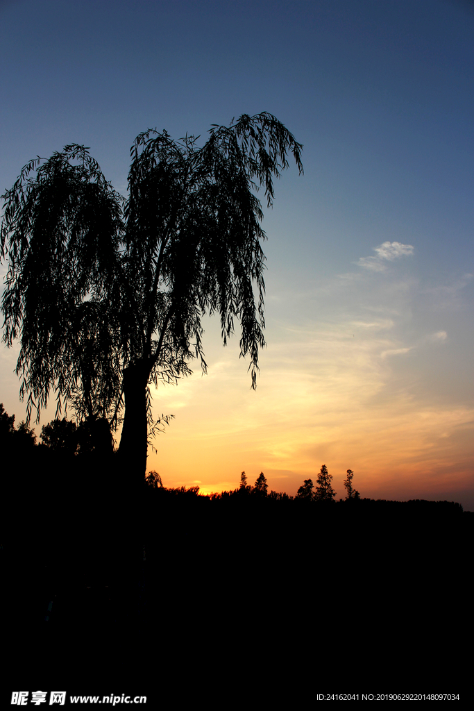 夕阳