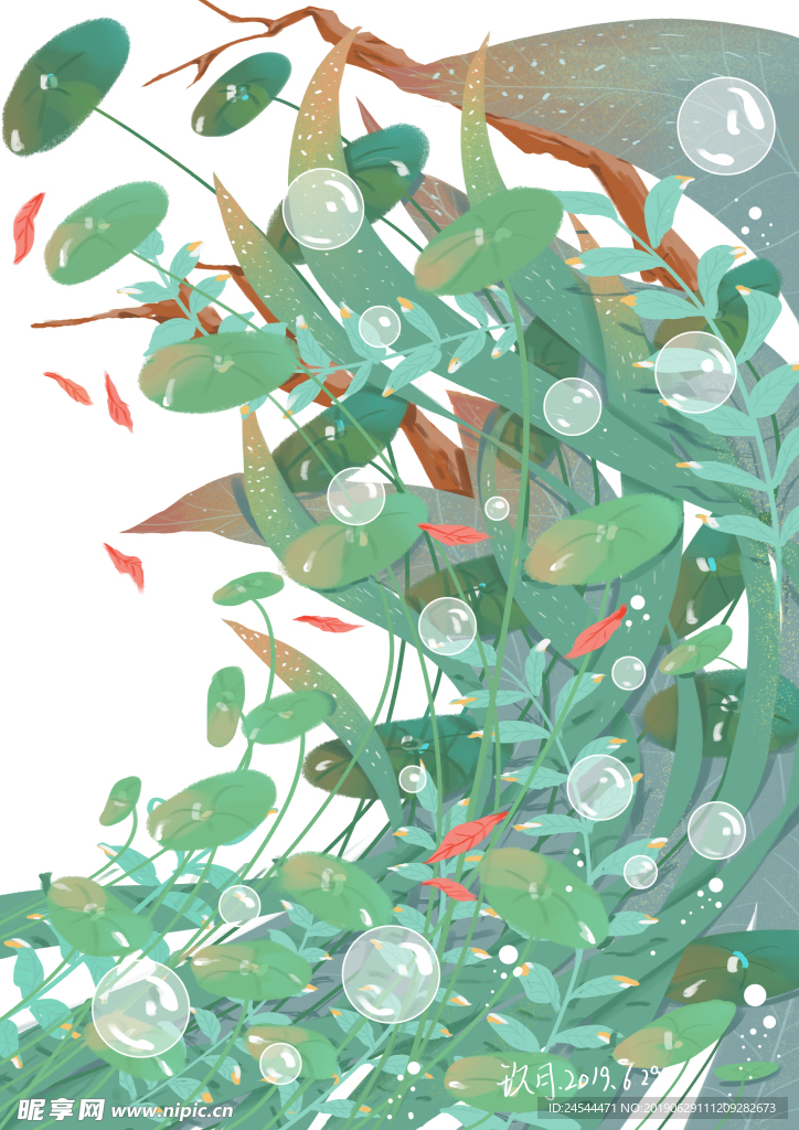 手绘水植物