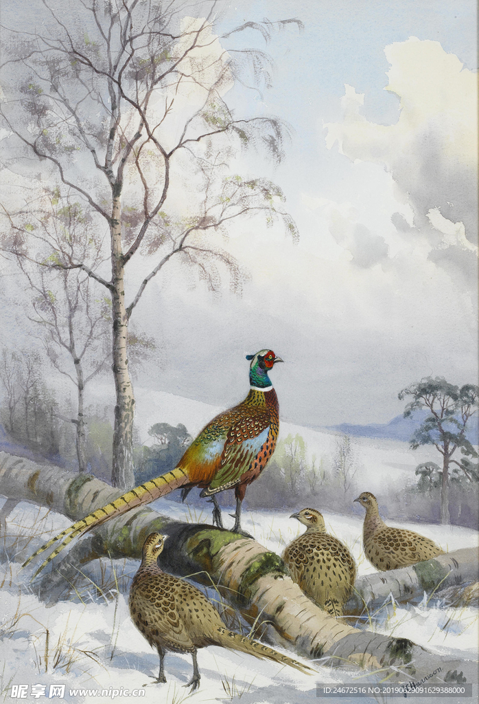 山鸡油画