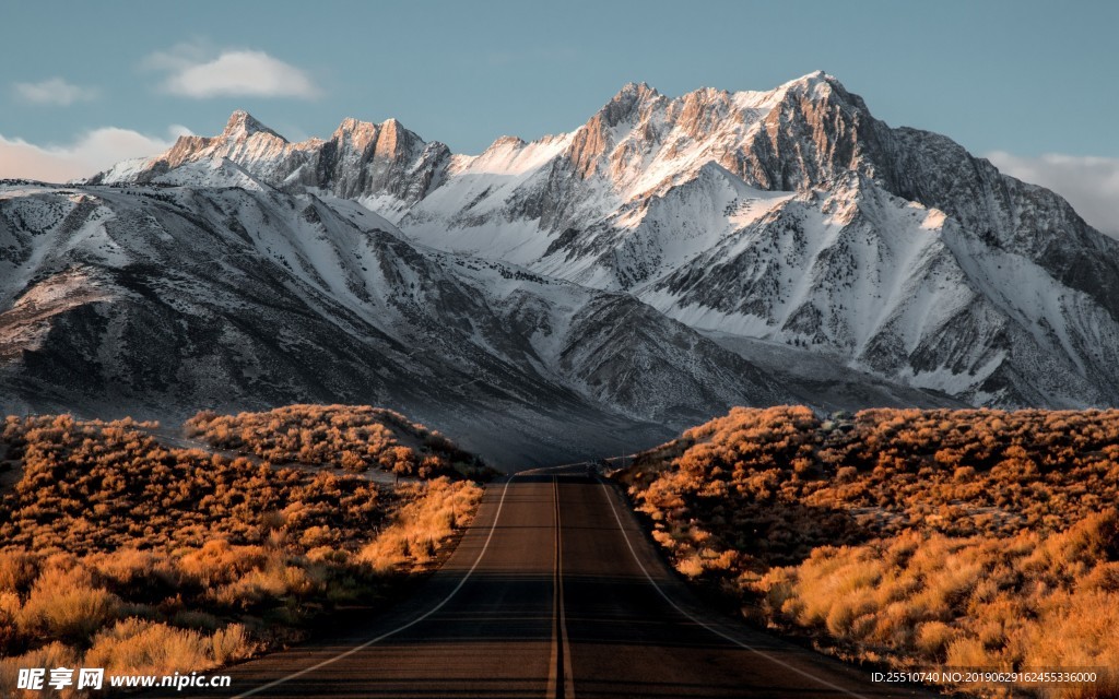 风景