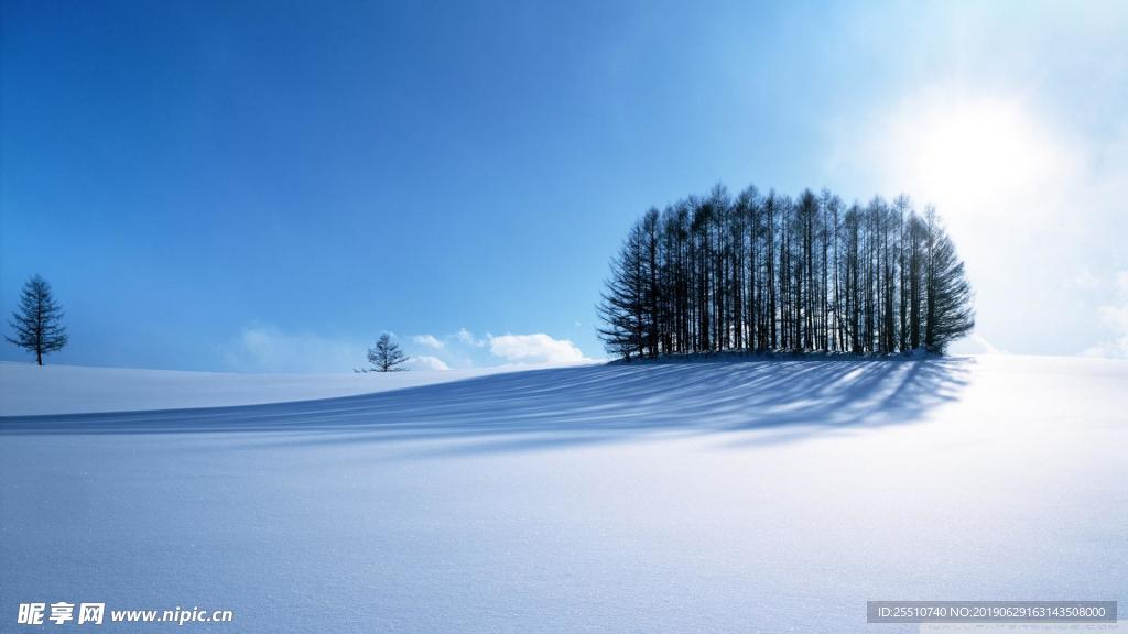 风景