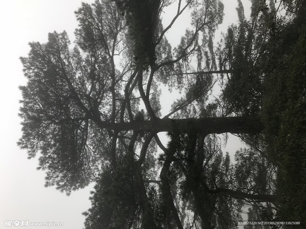 风景照
