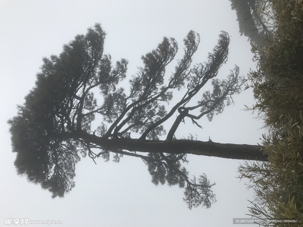 风景照
