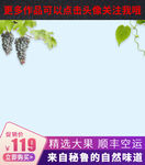 葡萄主图