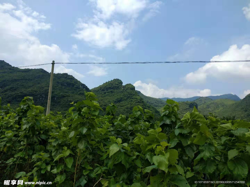 自然景色