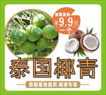 椰青 椰子海报