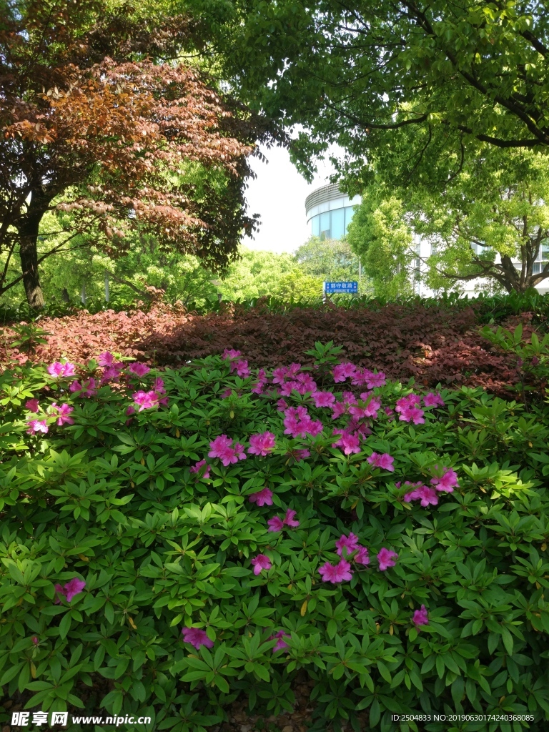 风景