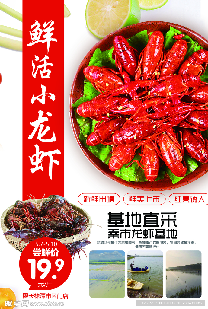 鲜活小龙虾