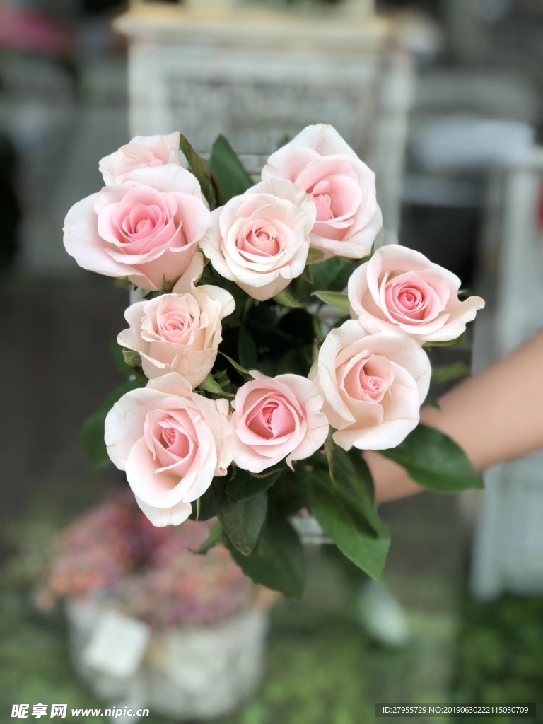 粉色玫瑰花束