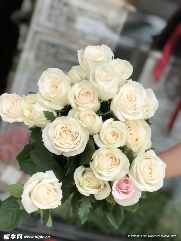 黄色玫瑰花