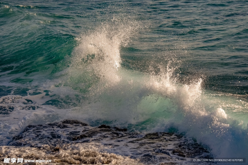 大海
