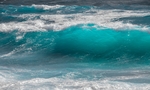 大海