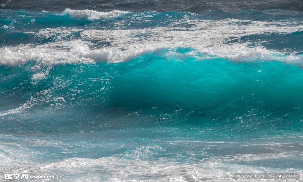 大海