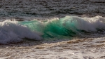 海洋
