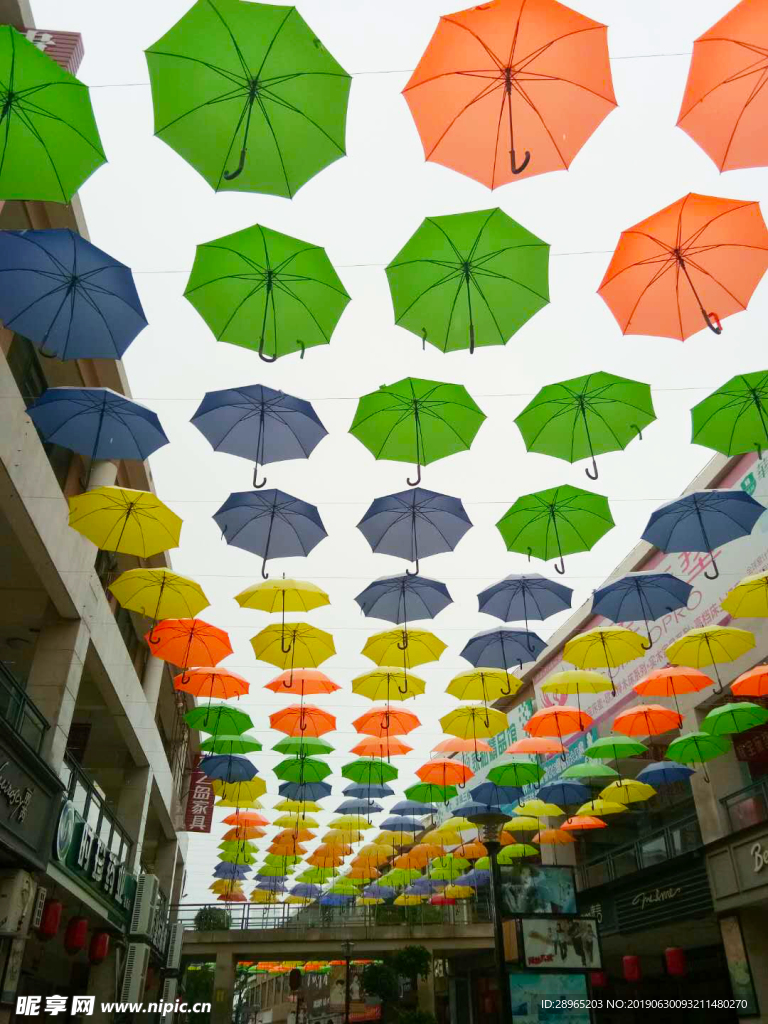 雨伞