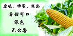 玉米