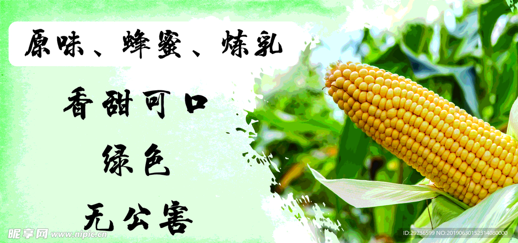 玉米