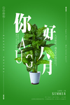 八月