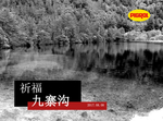 油漆广告物料宣传设计