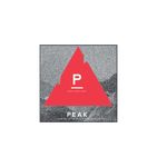 P字母