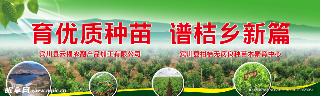 树苗海报