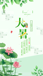 小暑海报  大暑海报 小暑海报
