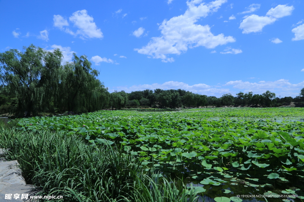 圆明园风景