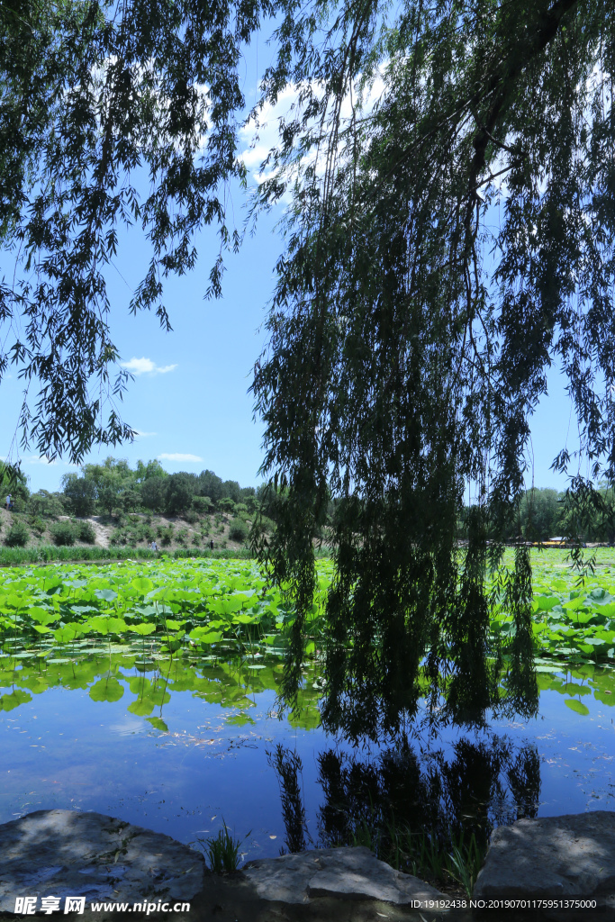 圆明园风景