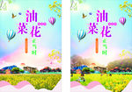 油菜花海报