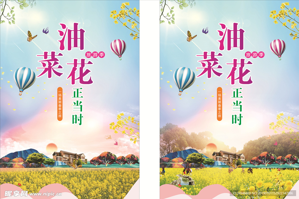 油菜花海报