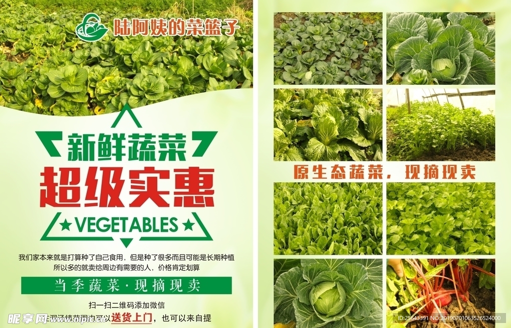 陆阿姨的菜篮子