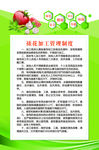 裱花加工管理制度