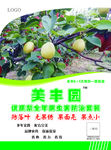 梨树单页