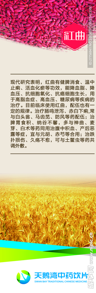 水稻宣传