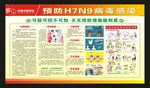 预防H7N9病毒感染宣传栏