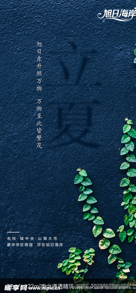立夏微信稿