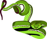 蛇3