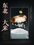 大米海报