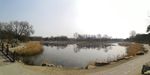 湖水 北京旅游 圆明园 古典园