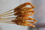 串串虾