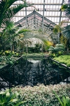 室内植物景观