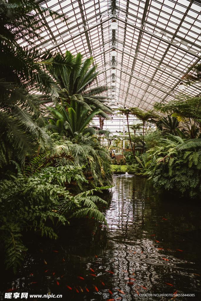 室内植物景观