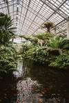 室内植物景观